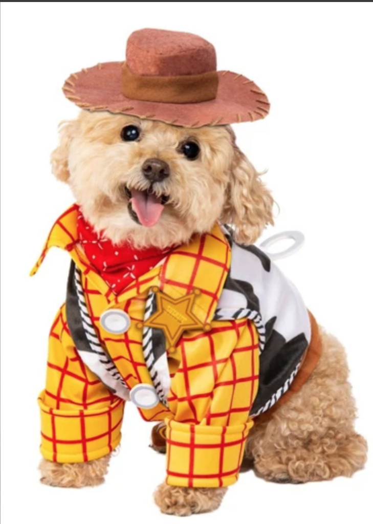Our edit of the best Halloween costume ideas to shop for dogs and cats of any size, 