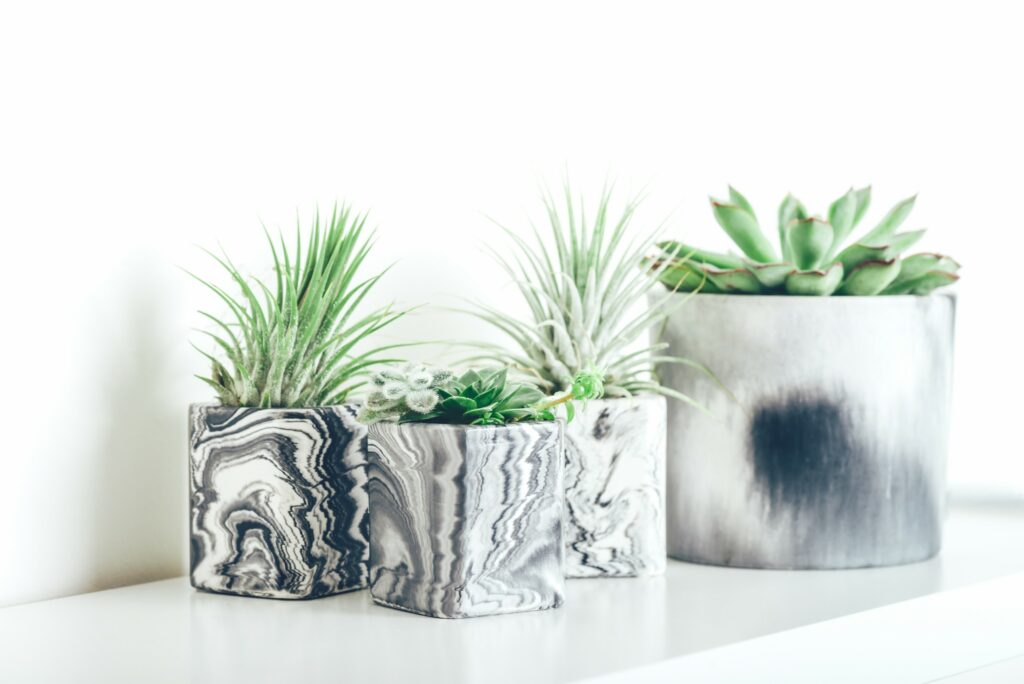 best new planters, plant stands and pots that indoor gardeners will love adding to their collection for their home or office