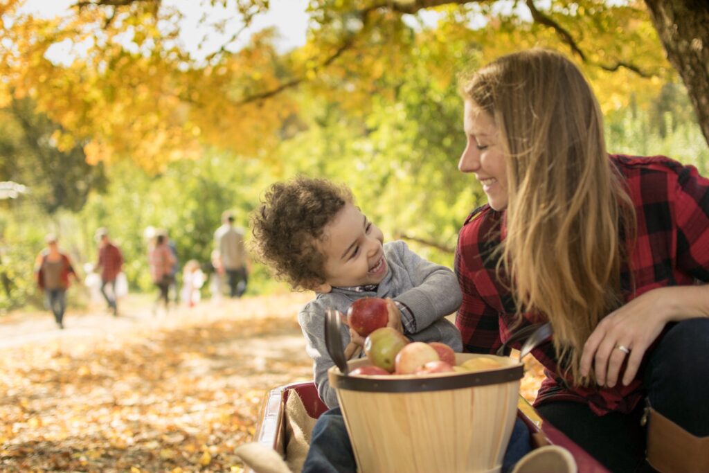 what to wear to the orchard to go apple picking this fall 2021 - 6 ideas for a cute outfit for women