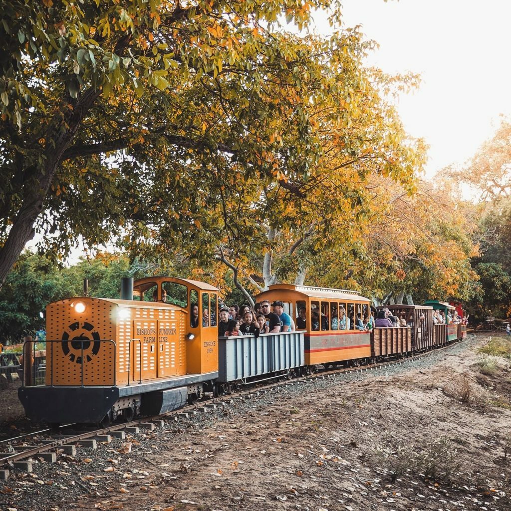 Our list of the best most beautiful and charming farms, orchards and pumpkin patches for families and friends to go picking this fall 2021.