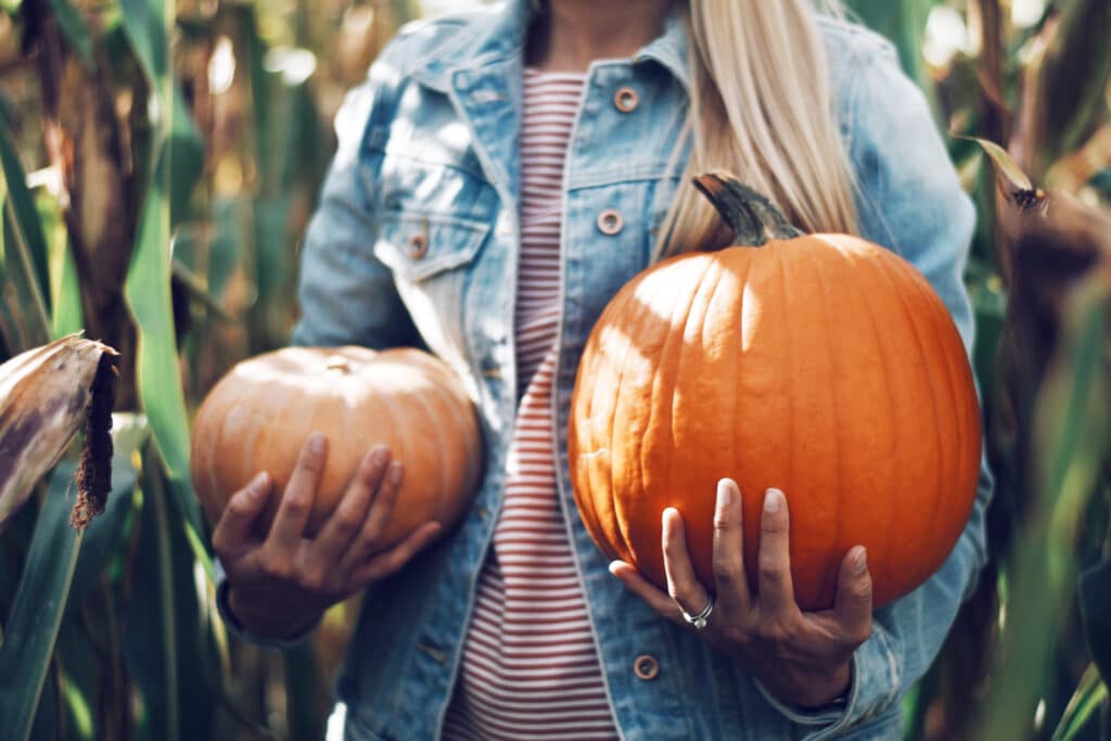 best places in the U.S. to go pumpkin picking this fall, including patches with hayrides and treats