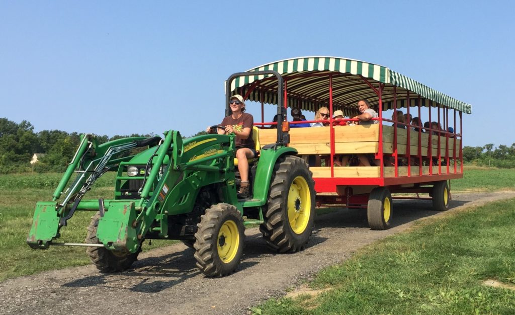 Our list of the best most beautiful and charming farms, orchards and pumpkin patches for families and friends to go picking this fall 2021.