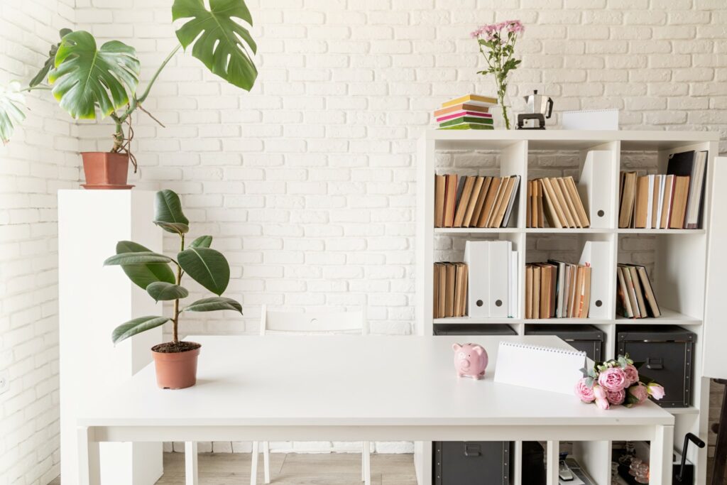 the trendiest and most popular house plants to buy in 2021 (and beyond) if social media influence is your aim