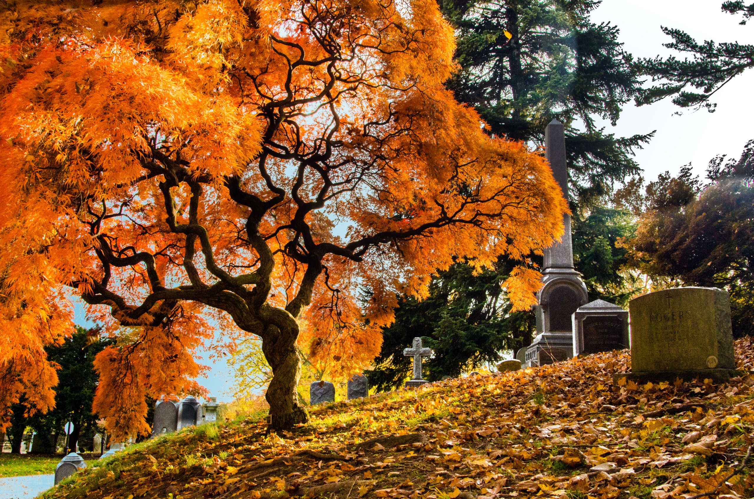 What are the best cemeteries in the world to visit, burial sites of famous people, beautiful and haunting grounds and historic significance?