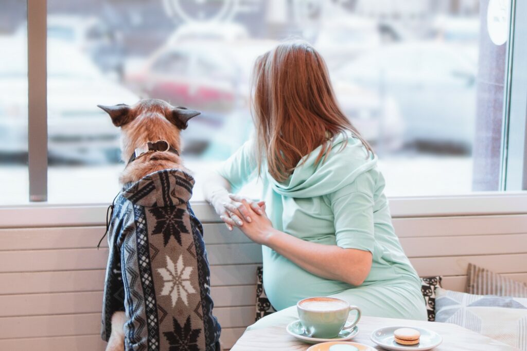 best chic cafes and restaurants in New York, DC and other cities around the world to visit right now that are designed just for the enjoyment of dogs and their pet parents