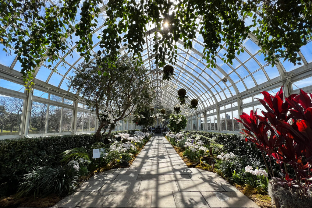 New York Botanical Garden Orchid Show 2022. Photo Credit: Dandelion Chandelier