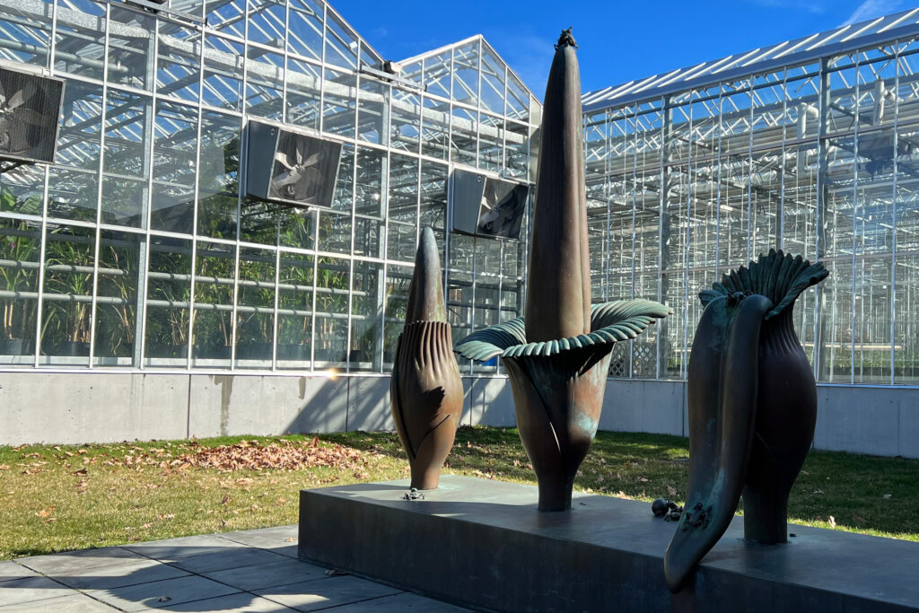 Behind the scenes tour of the Nolen Greenhouse and best photos of the preparation for New York Botanical Garden (NYBG) Orchid Show 2022. Photo Credit: Dandelion Chandelier