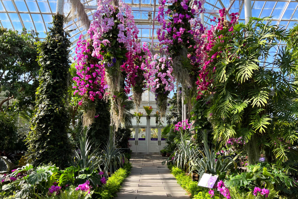 New York Botanical Garden Orchid Show 2022. Photo Credit: Dandelion Chandelier