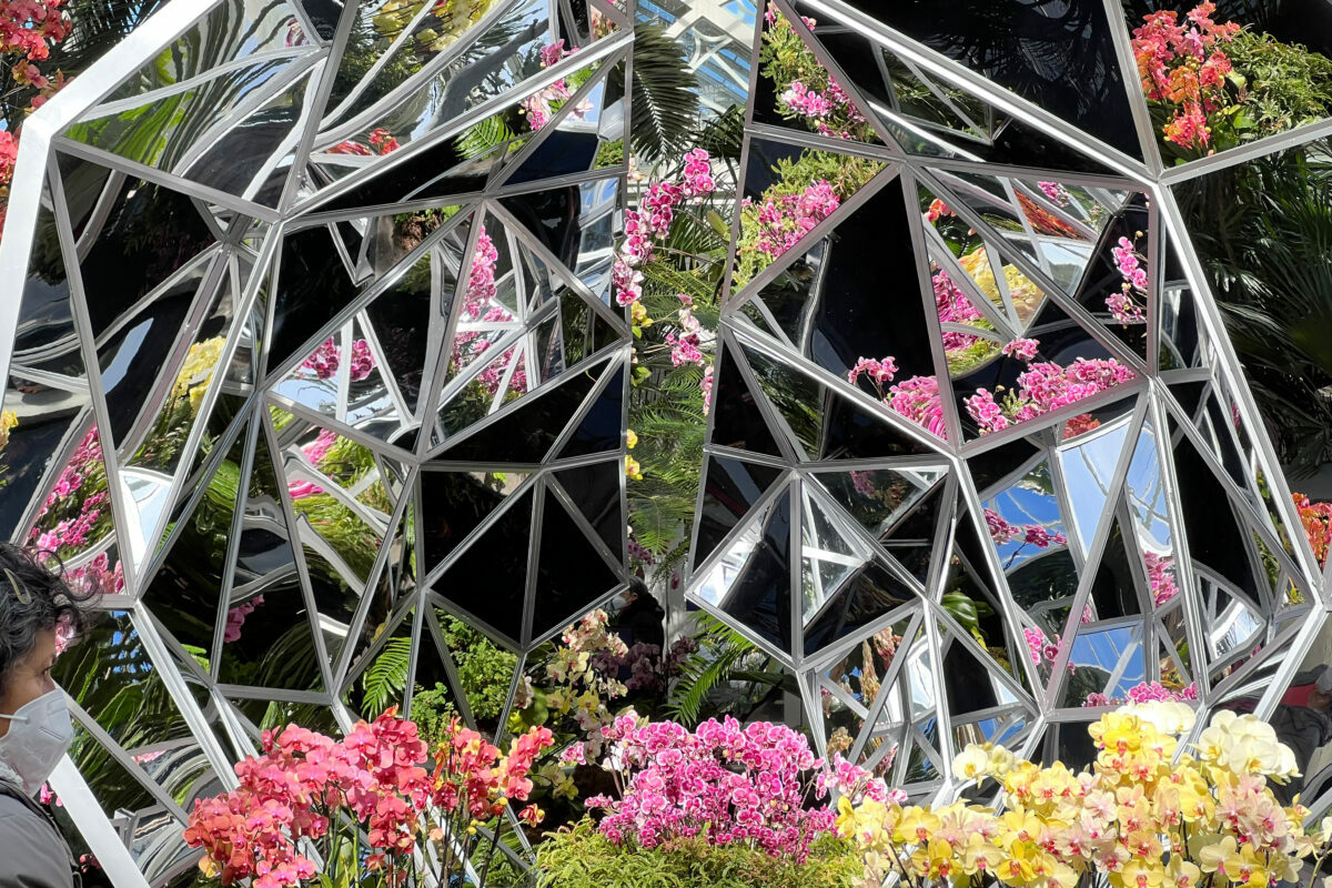 Our best photos from the New York Botanical Garden (NYBG) Kaleidoscope Orchid Show 2022. Photo Credit: Dandelion Chandelier.