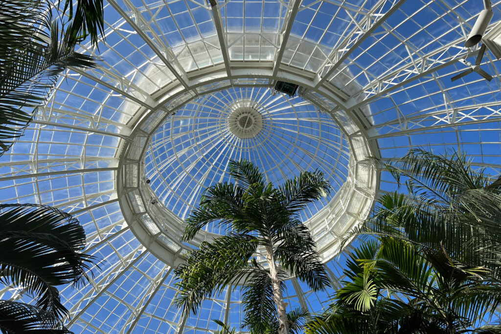 New York Botanical Garden Orchid Show 2022. Photo Credit: Dandelion Chandelier