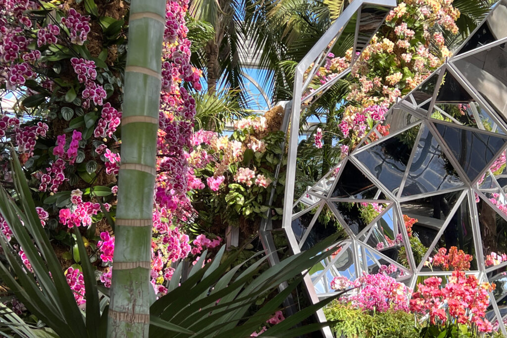 Our best photos from the New York Botanical Garden (NYBG) Kaleidoscope Orchid Show 2022.