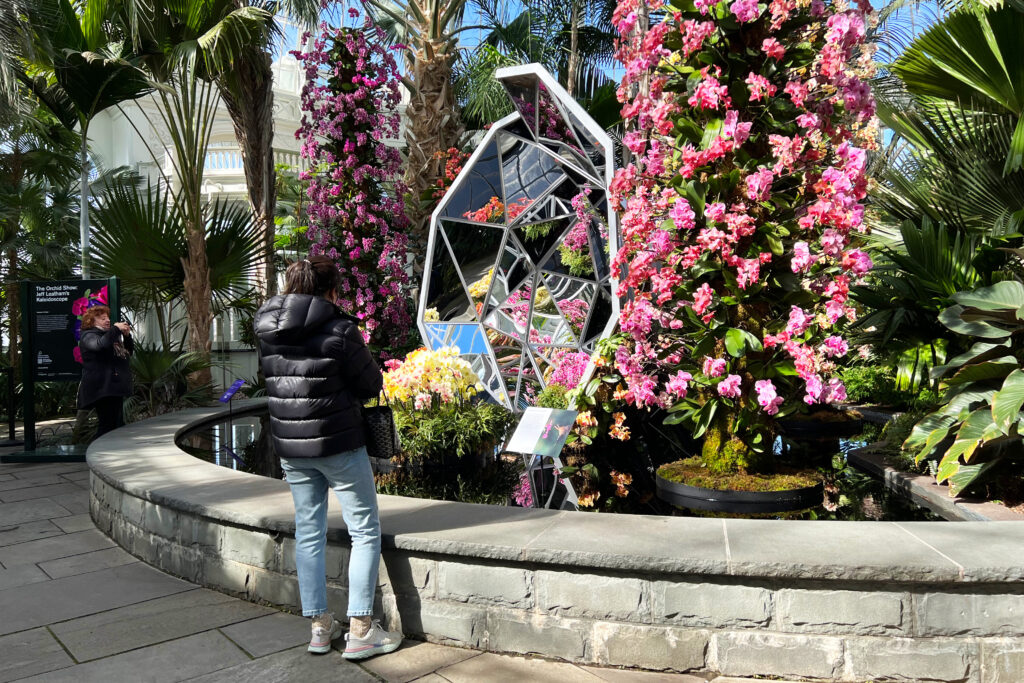 NYC Orchid Show 2022. Photo Credit: Dandelion Chandelier