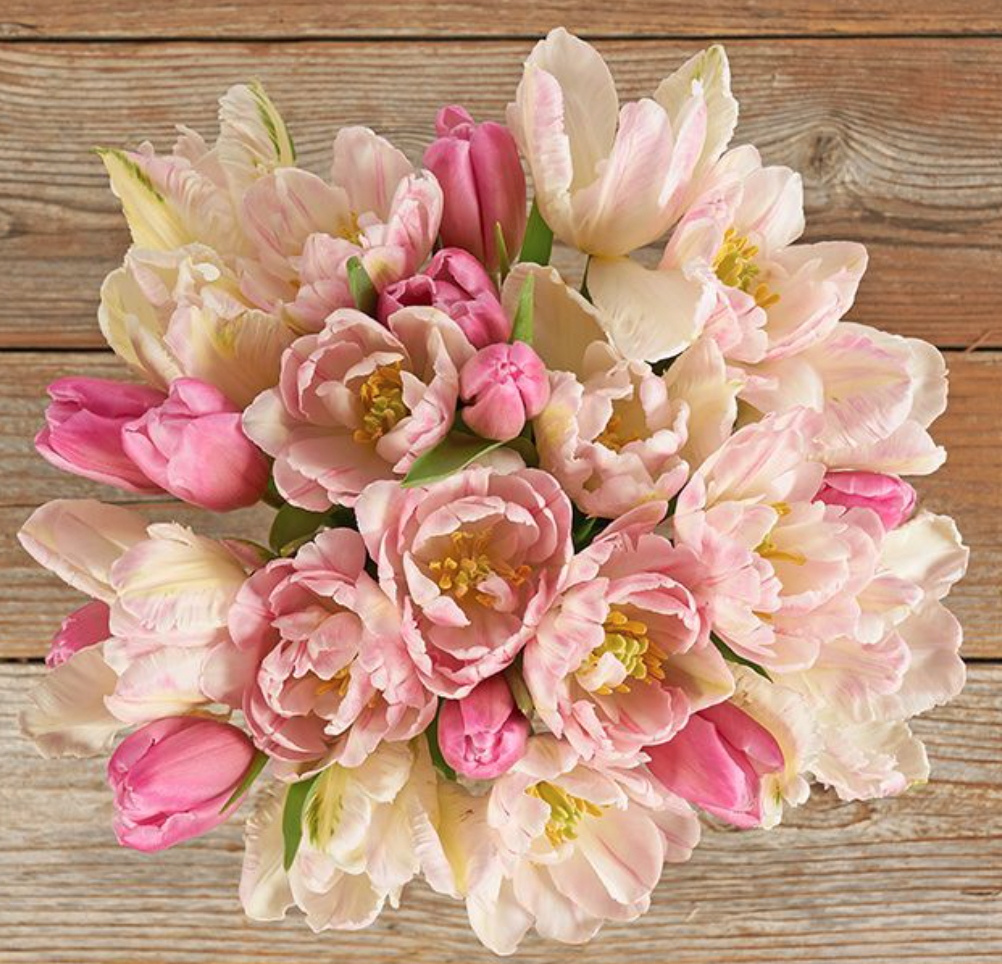 best luxury online florists to send tulips for Easter, birthday, graduation and Mother's Day gift this spring 2023