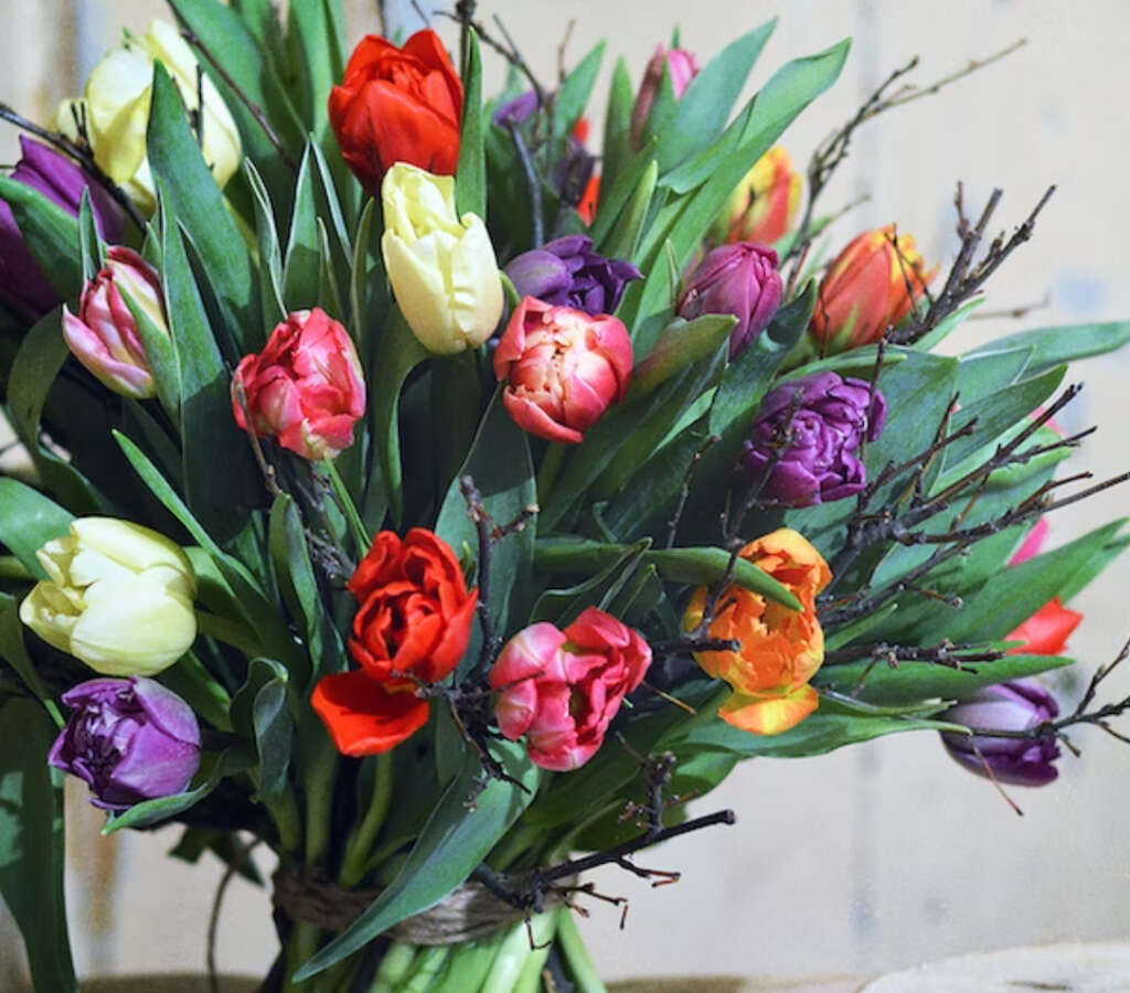 best luxury online florists to send tulips for Easter, birthday, graduation and Mother's Day gift this spring 2023