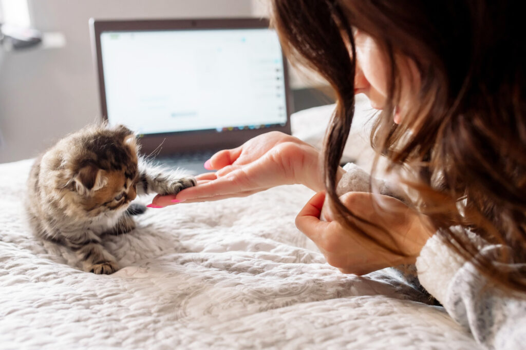 Gucci launches its first luxury pet collection for the dog and cat who have everything, including collars, leashes, bowls, coats and more.