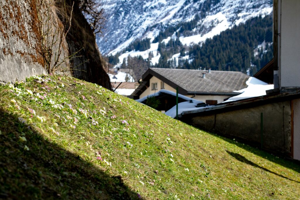 summer skiing Switzerland