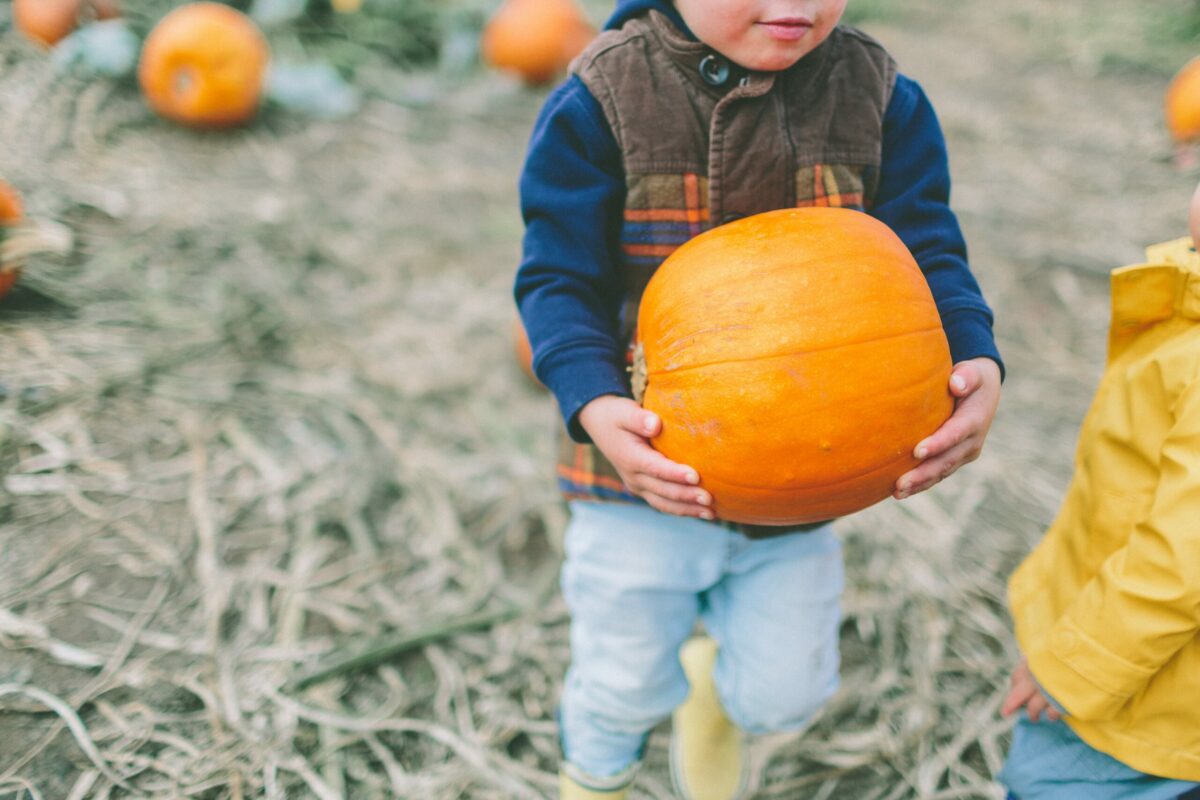 The best places in the U.S. to go pumpkin picking this fall, including charming pumpkin patches with hayrides and treats in a spot near you.