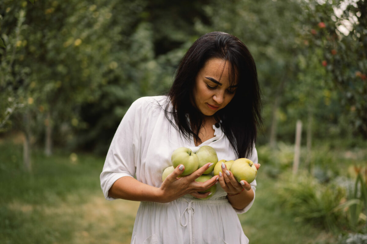 The best places and apple orchards in the U.S. to go apple-picking this fall with kids and family, and find cider, donuts and other treats.