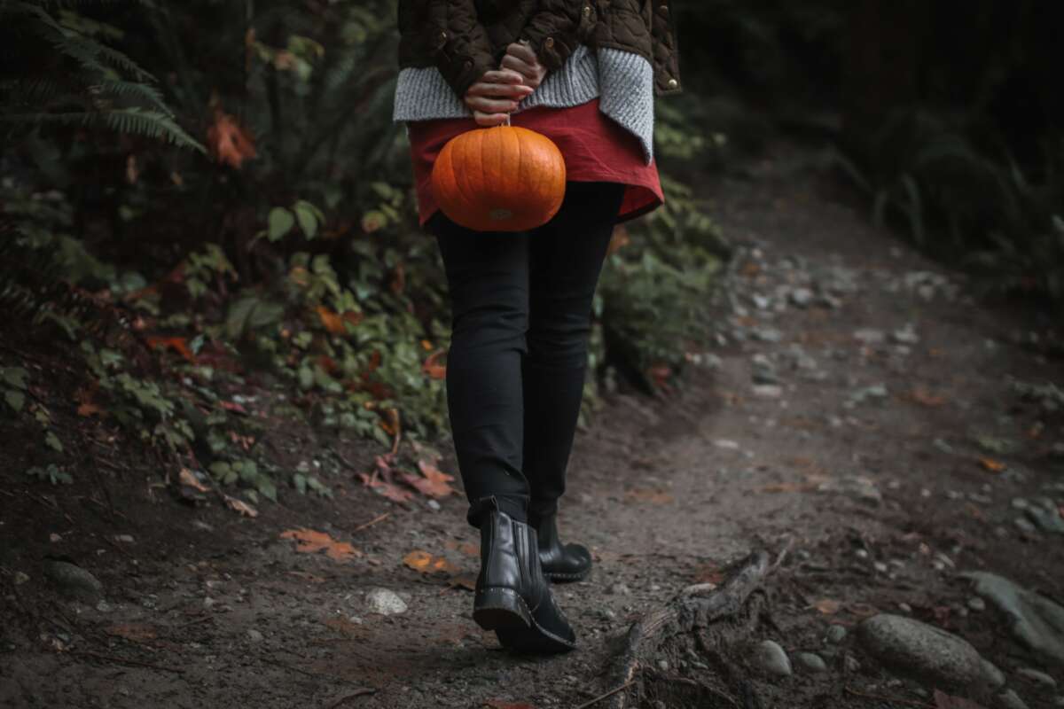 The best places in the U.S. to go pumpkin picking this fall, including charming pumpkin patches with hayrides and treats in a spot near you.