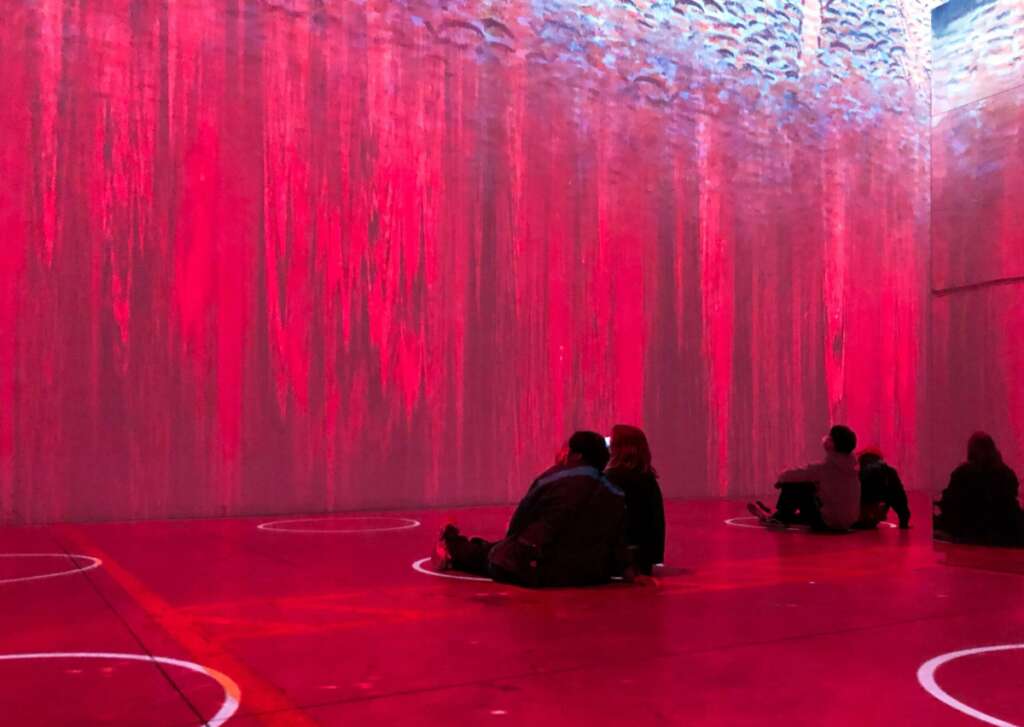 immersive art installations