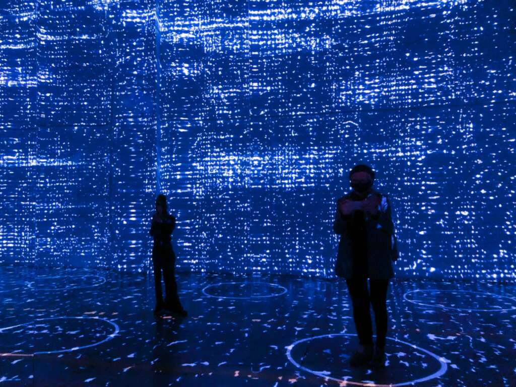 immersive art installations