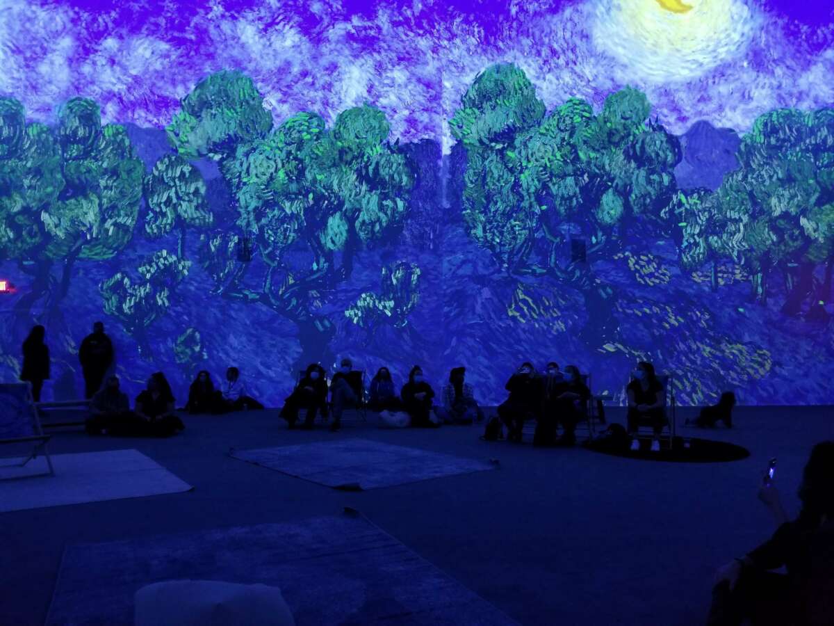 the best new immersive art installations and exhibits coming to New York (NYC) and other places around the world this fall and winter 2022. 