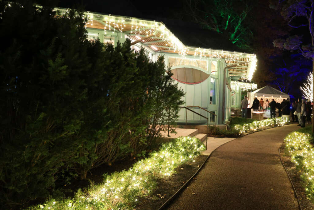 A Christmas holiday tour with our best photos of the Breakers mansion in Newport, Rhode Island decorated with lights and trees inside and out.