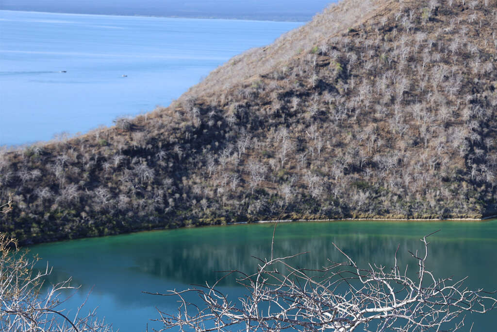 Photos of Darwin Lake and Tagus Cove in the Galapagos Islands