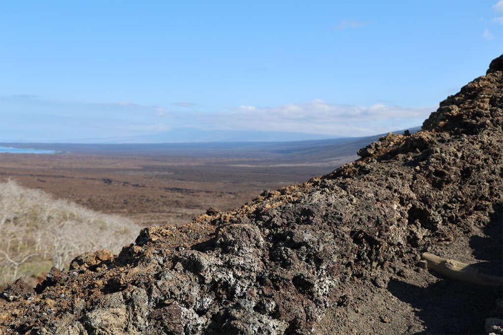 photos from hike at Tagus Cove and Darwin Lake in Galapagos, including graffiti