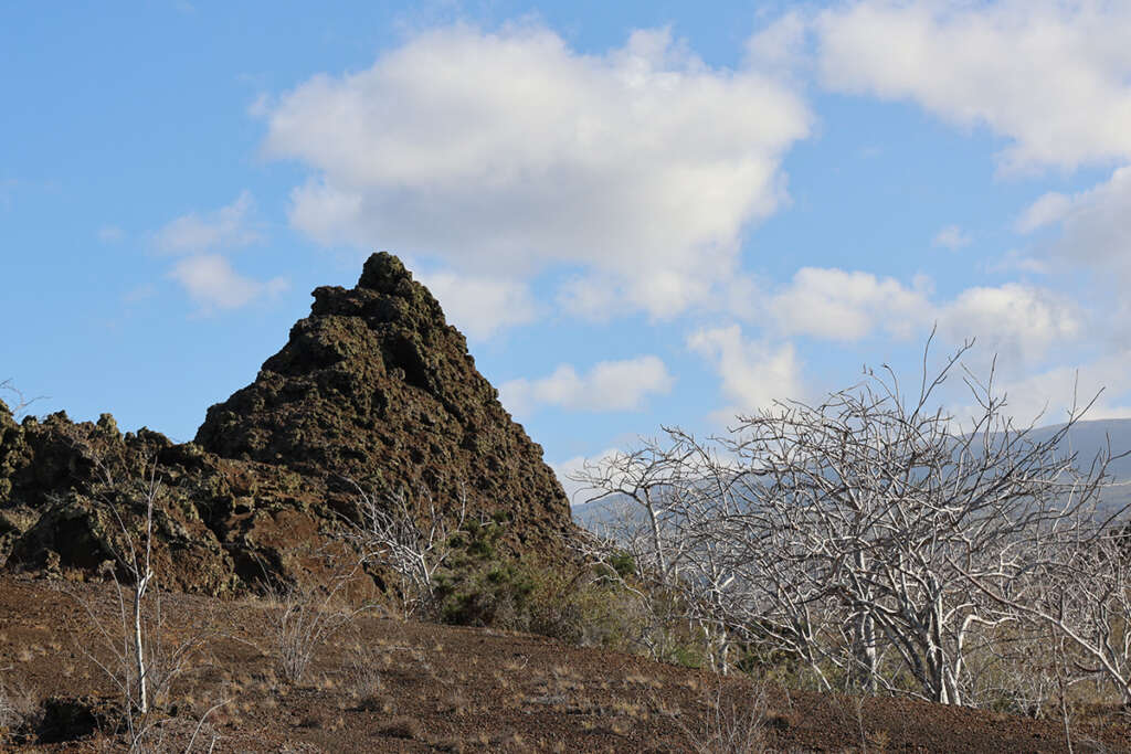 photos from hike at Tagus Cove and Darwin Lake in Galapagos, including graffiti