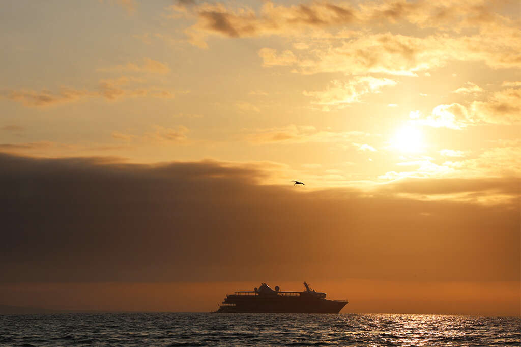 visit to Elizabeth Bay in the Galapagos Islands, home to sea turtles, mangrove trees, penguins and more