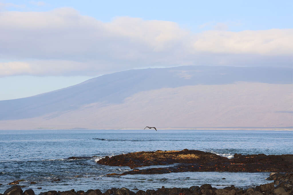 Punta Espinoza in the Galapagos Islands