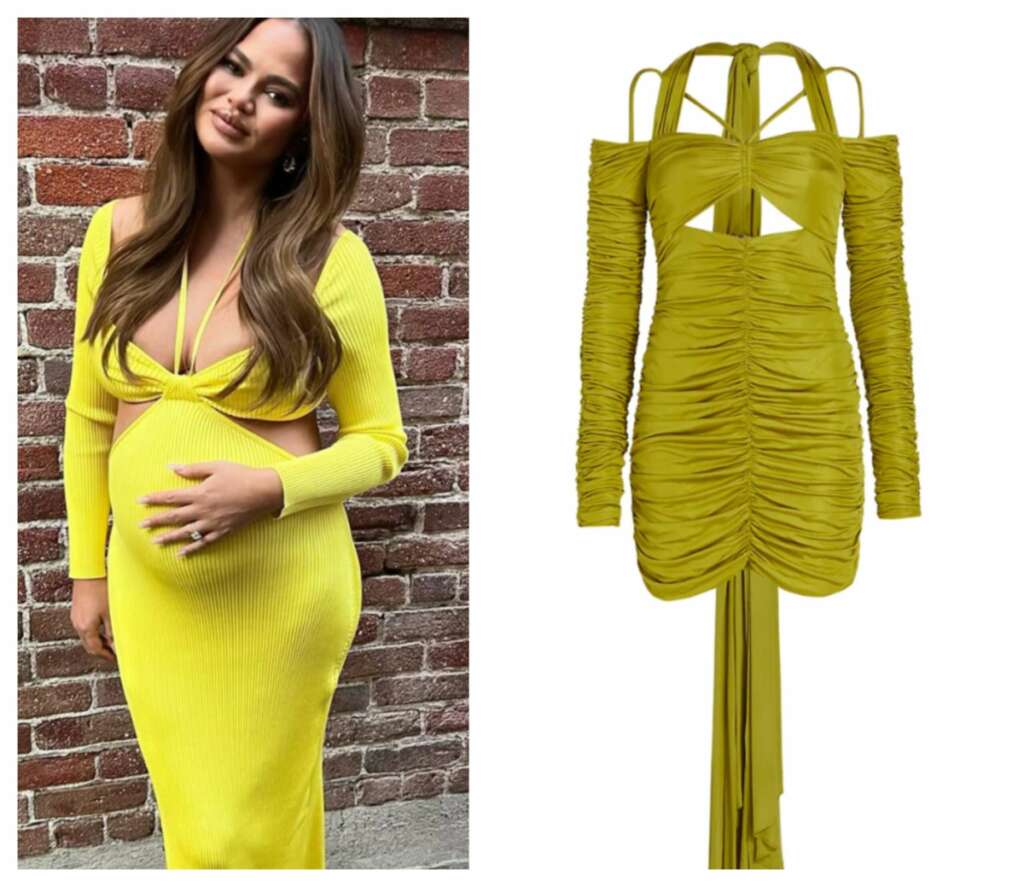 celeb-approved luxury maternity styles