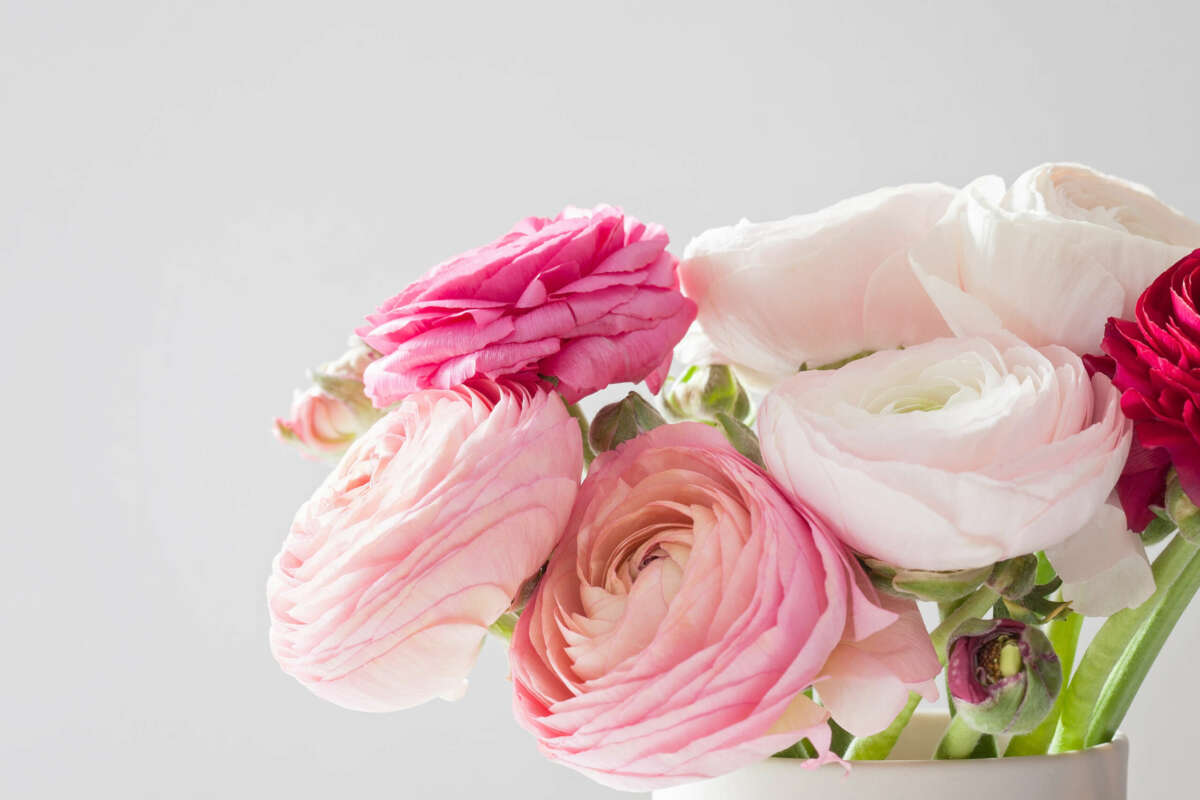 Our expert florist shares the 5 surprising types of flowers brilliant for a 2023 Valentines Day gift, and also new ways to give red roses.