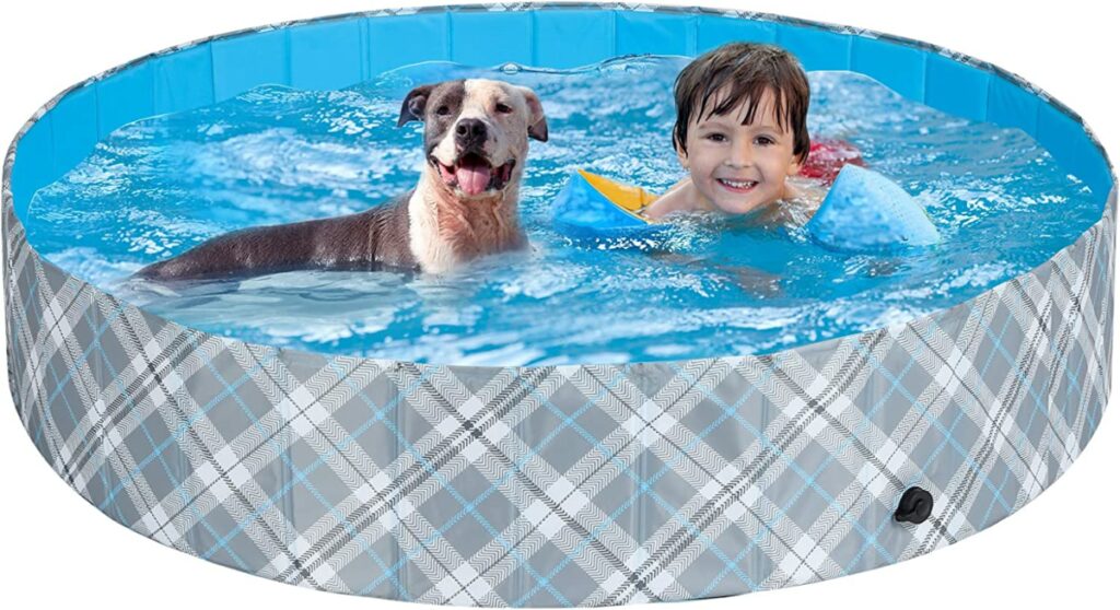 The best essential items and toys for dogs this Summer 2023