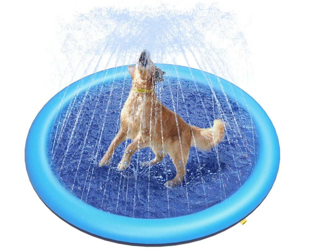 The best essential items and toys for dogs this Summer 2023