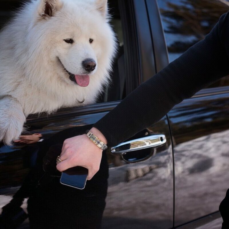 Top luxury hotels in the United States, including NYC and Hawaii, that are dog friendly and perfect for family vacations with pets.