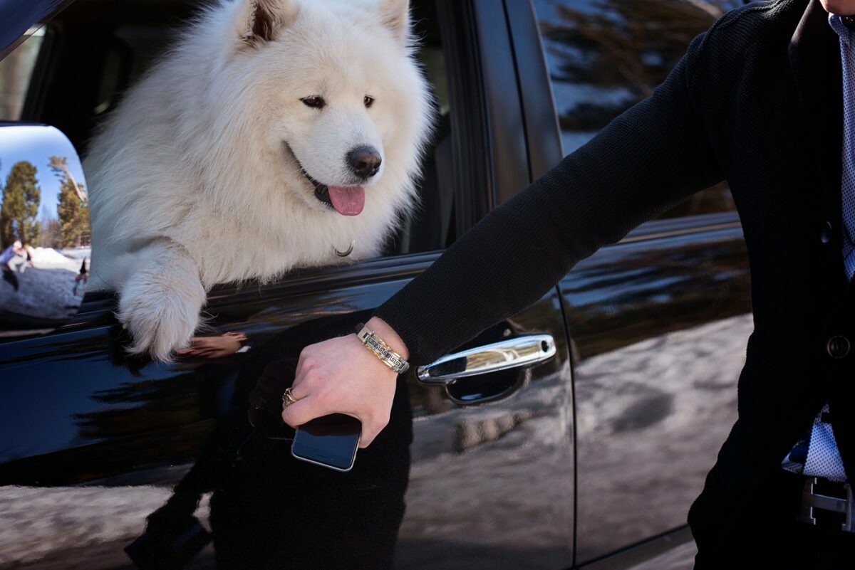 Top luxury hotels in the United States, including NYC and Hawaii, that are dog friendly and perfect for family vacations with pets.