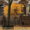 Brownstone stoops in New York City with an orange autumn tree and fallen leaves, lead image for an autumn reading list on Dandelion Chandelier.