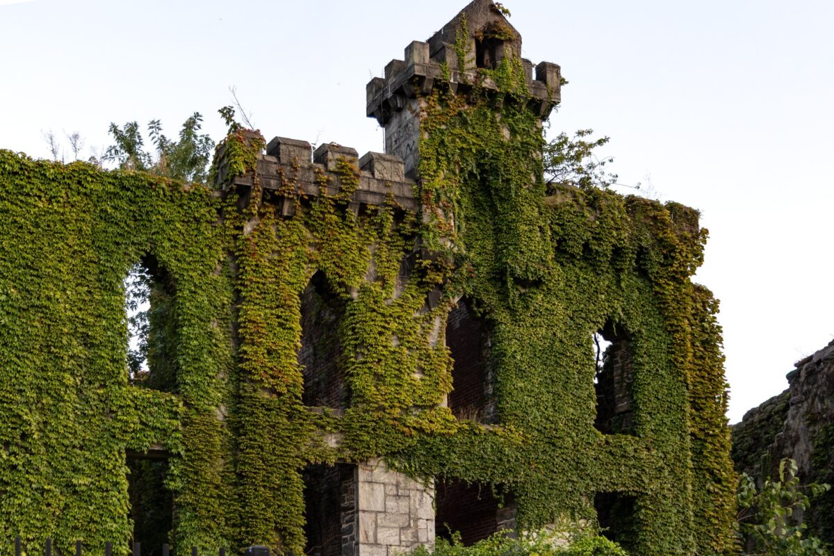 The Green Light Theory of Luxury lead image: ivy-covered stone architecture showing green as endurance and continuance.