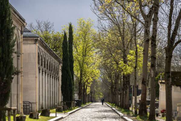 Main tree-lined avenue at Père Lachaise Cemetery in Paris in spring.