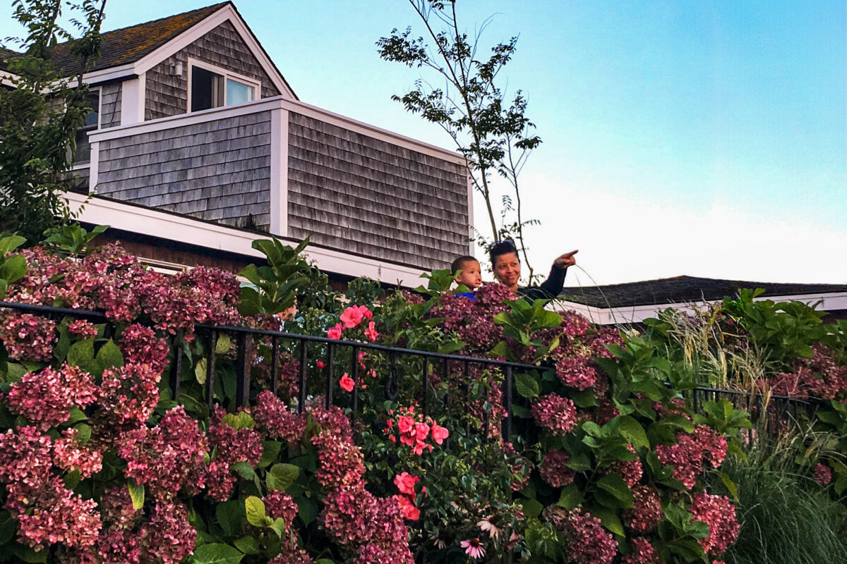 Black family in Oak Bluffs on Martha’s Vineyard beside hydrangeas and a shingled house.