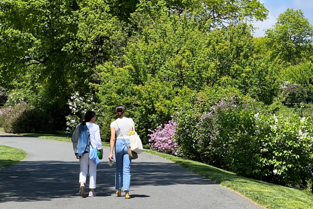Two women walking along a path beside lilacs in bloom at the New York Botanical Garden in spring.