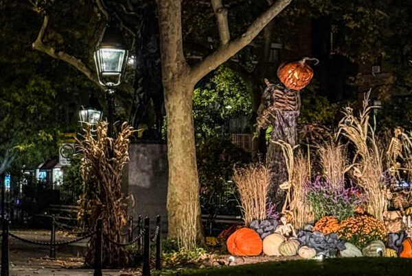 Pumpkin-headed figure standing among trees at night during Halloween season, photographed by Pamela Thomas-Graham for an October reading list.