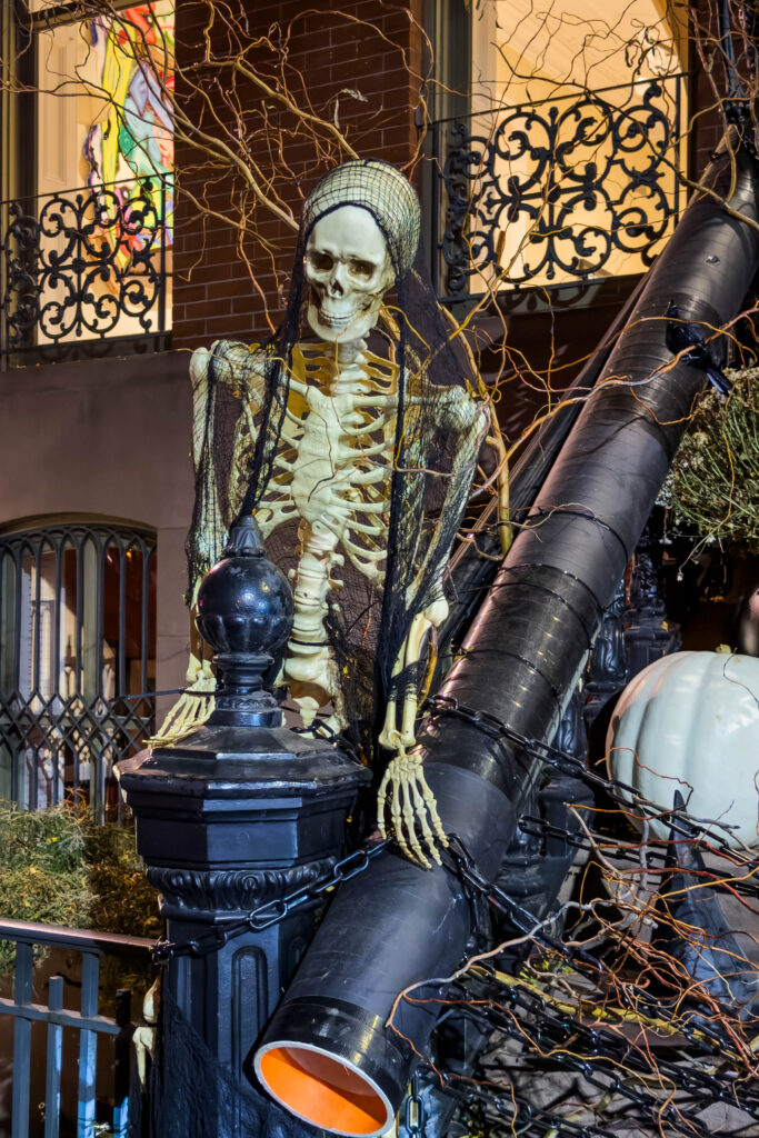 Veiled skeleton surrounded by dark branches and Halloween decorations, photographed by Pamela Thomas-Graham.