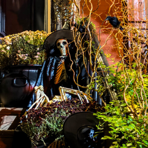 Skeletons among dark branches, black urns and autumn botanicals for The Nocturnal Edit: Halloween at Home, photographed by Pamela Thomas-Graham.