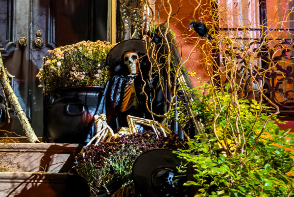 Skeletons among dark branches, black urns and autumn botanicals for The Nocturnal Edit: Halloween at Home, photographed by Pamela Thomas-Graham.